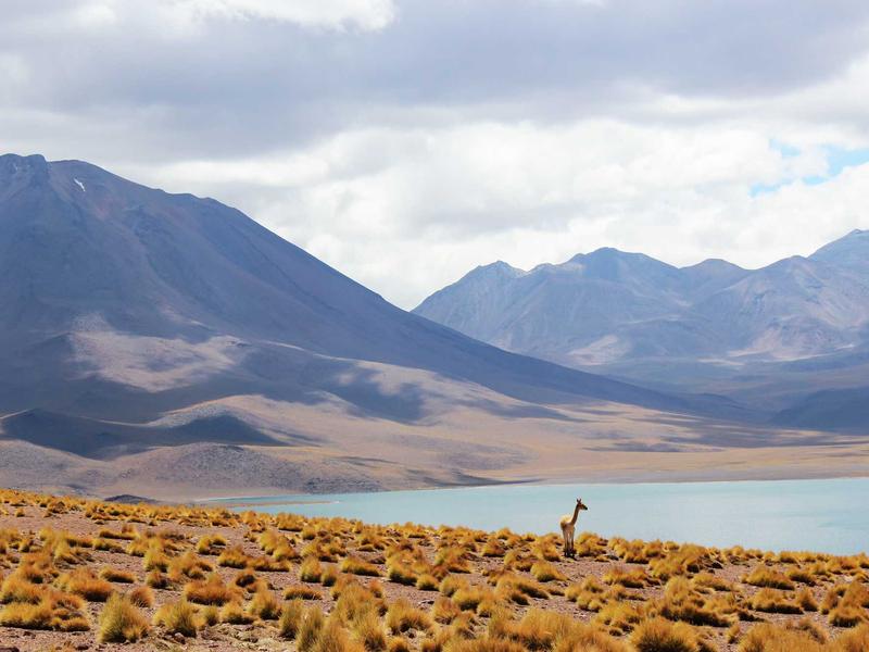 A digital analytics dashboard with glowing holographic charts in golden hour tones, sleek and modern, conceptual representation of e-commerce profits, abstract, no human figures